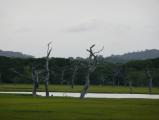 Yala National Park